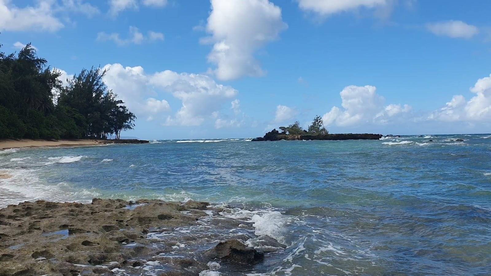 Sandee - Waialee Beach Park