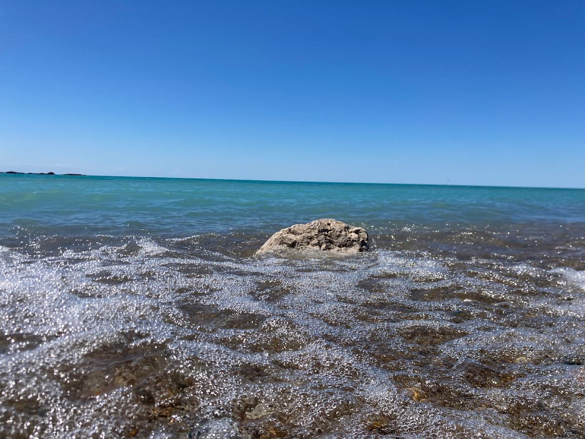 Sandee Macpherson Park Photo