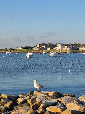 Sandee - Sakonnet Point