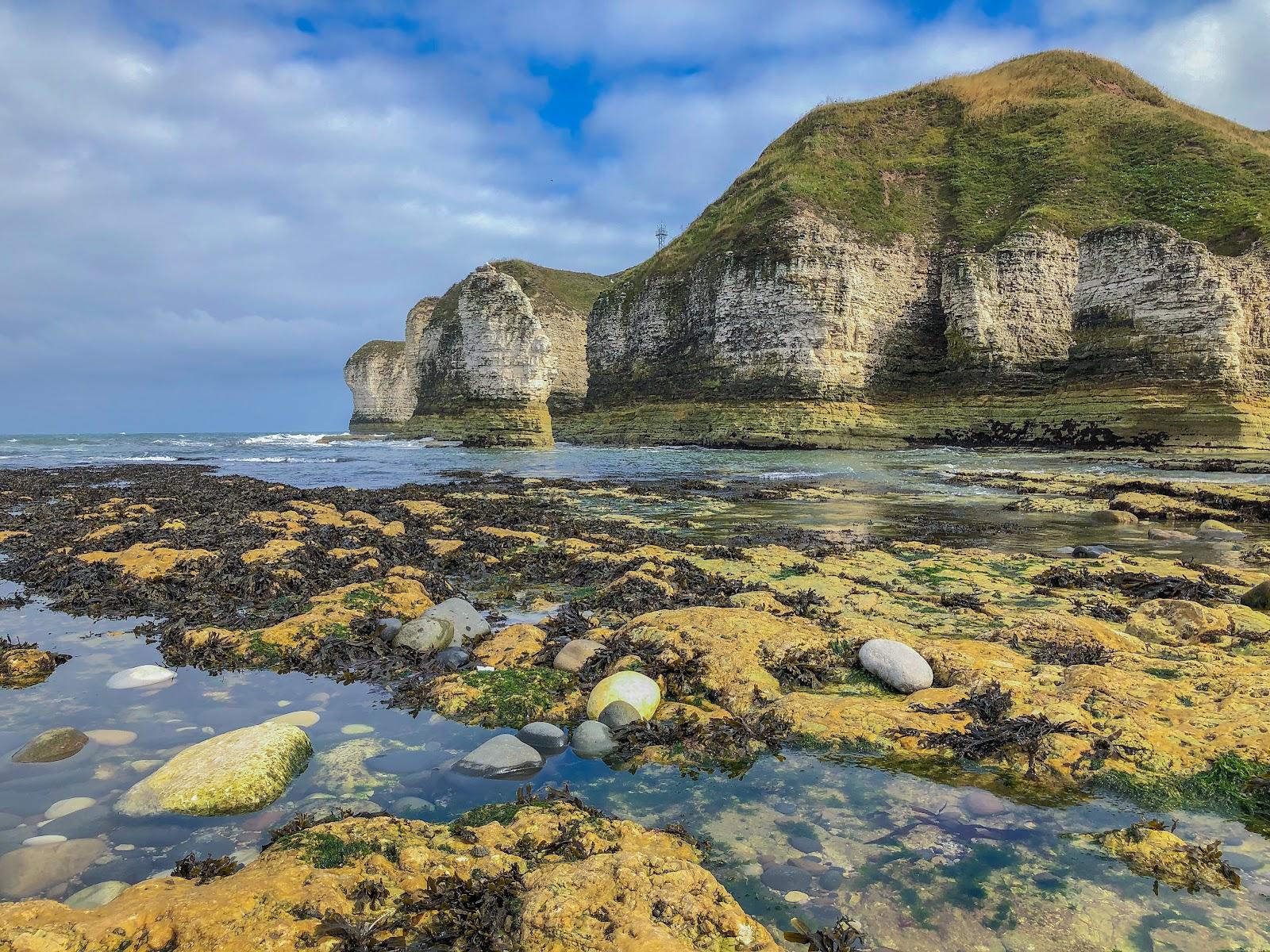 Sandee - Flamborough Bay Beach