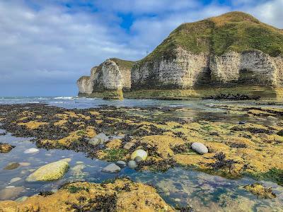 Sandee - Flamborough Bay Beach