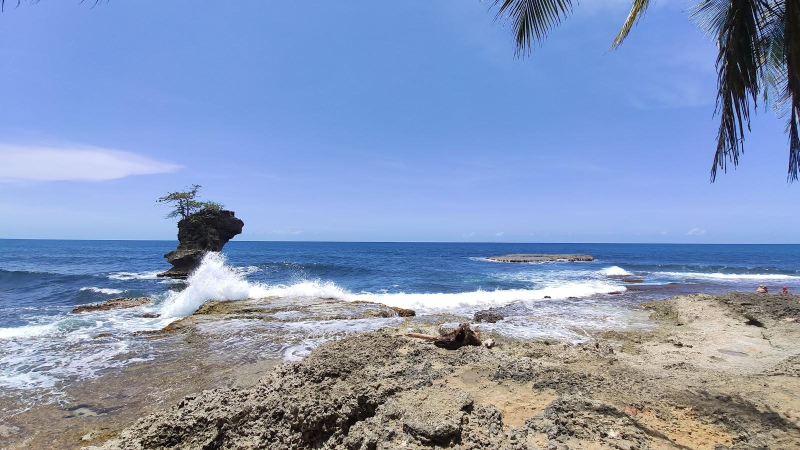 Sandee Punta De Vista