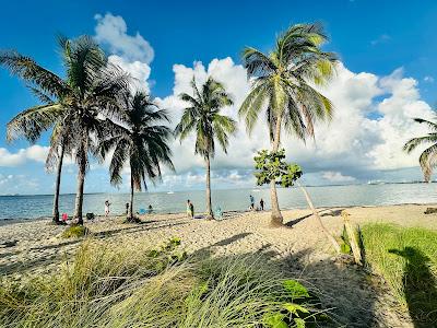 Sandee - Virginia Key Beach Park