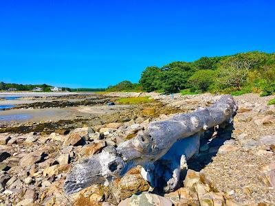 Sandee - Timber Point Trail