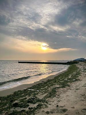 Sandee - East Islip Marina Park