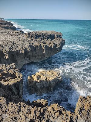 Sandee - Blowing Rocks Preserve