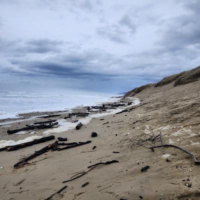 Sandee - South Jetty Beach 1 Day Use