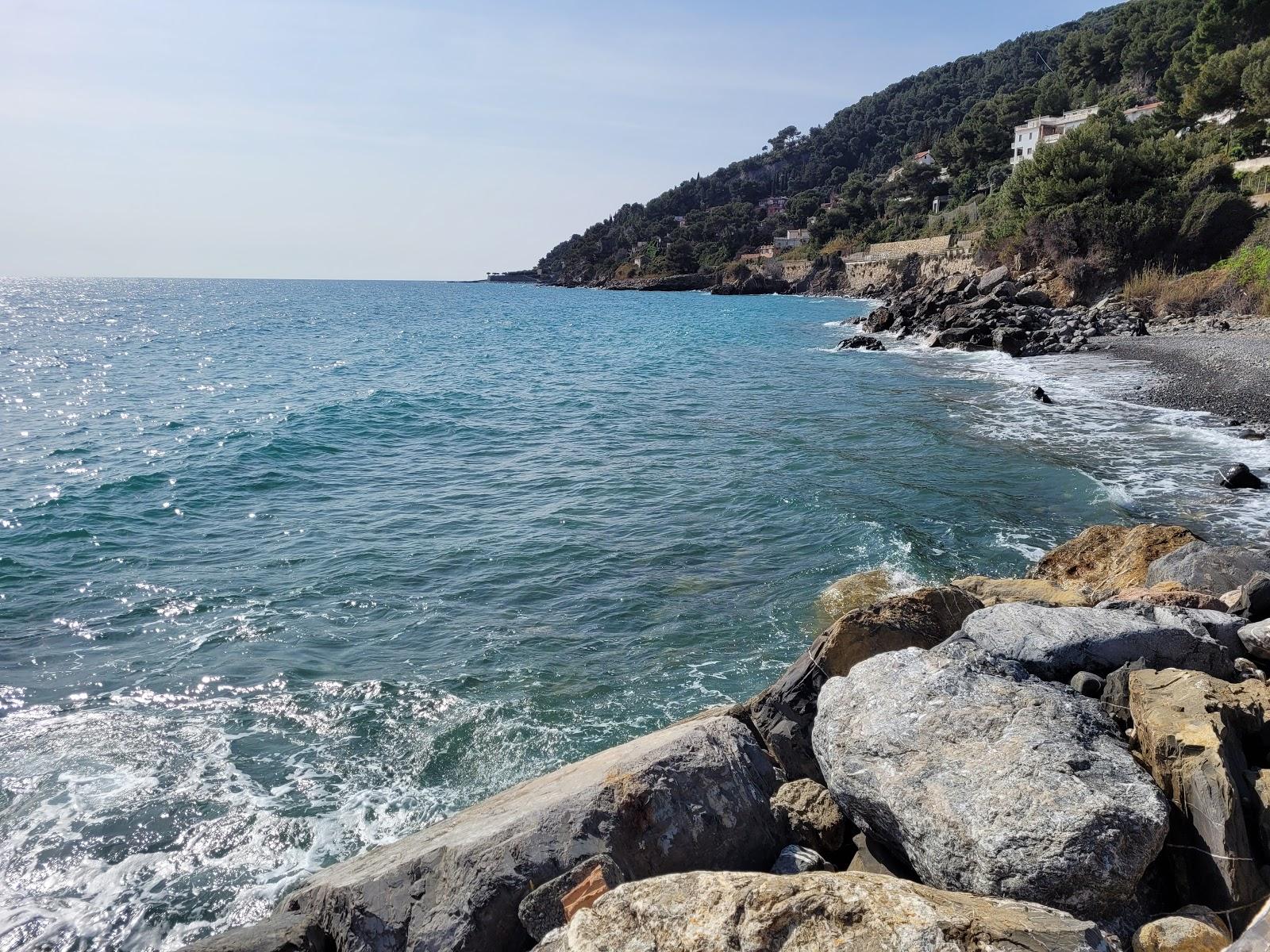 Sandee Spiaggia Per Cani