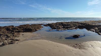 Sandee - El Chato Beach