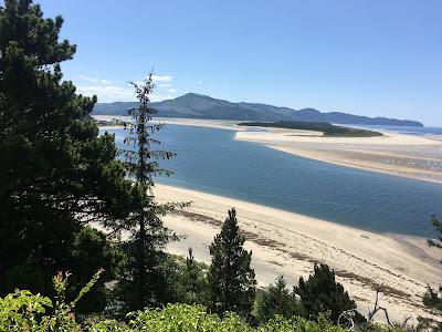 Sandee - Netarts Bay Lookout