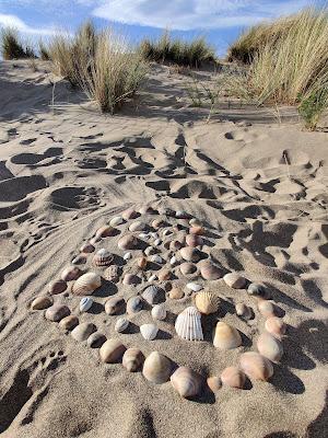 Sandee - Plage Des Orpelliere