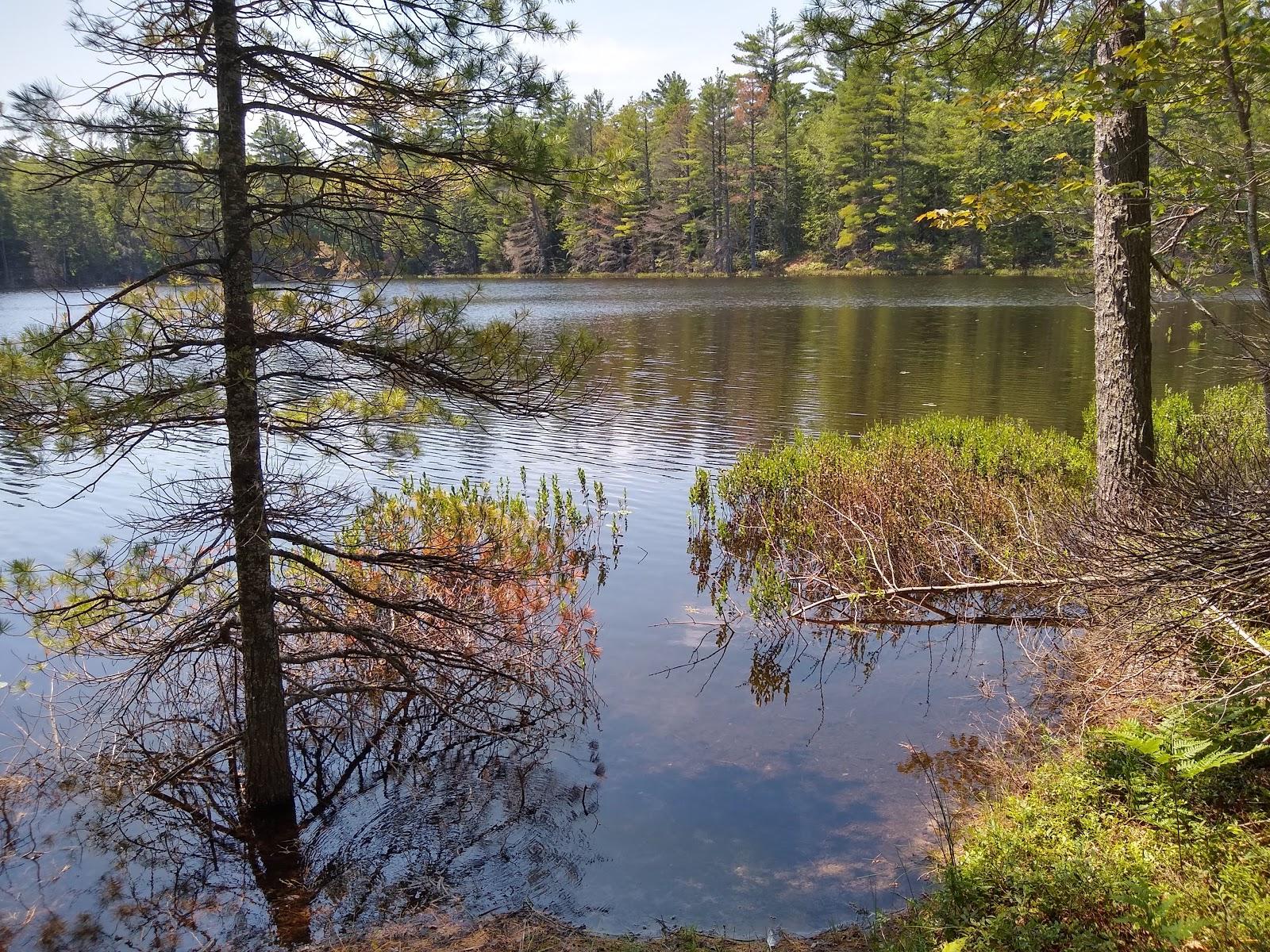 Sandee - Pretty Lake State Forest Campground