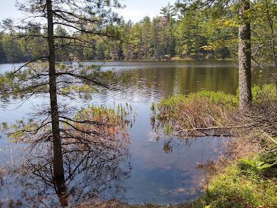 Sandee - Pretty Lake State Forest Campground