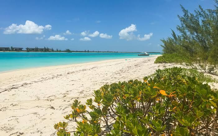 Sandee Wild Cow Run Beach
