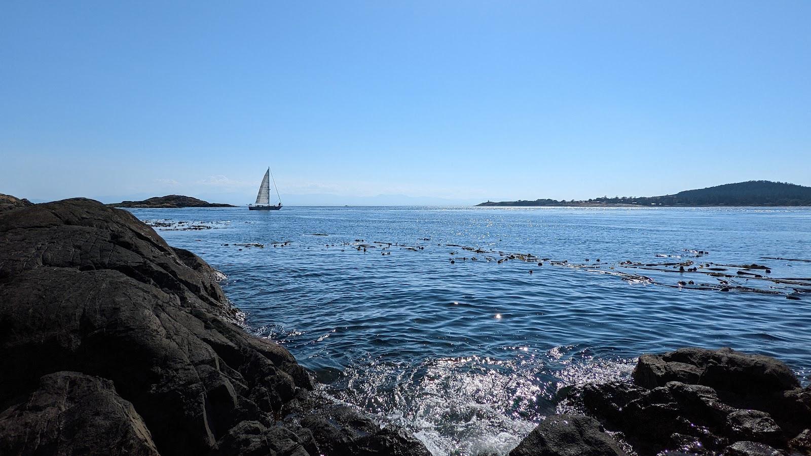 Sandee Shark Reef County Park Photo