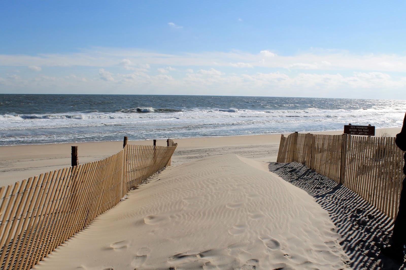 Sandee - Fenwick Island State Park