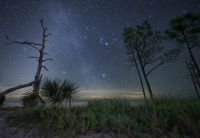 Sandee - Ochlockonee Point