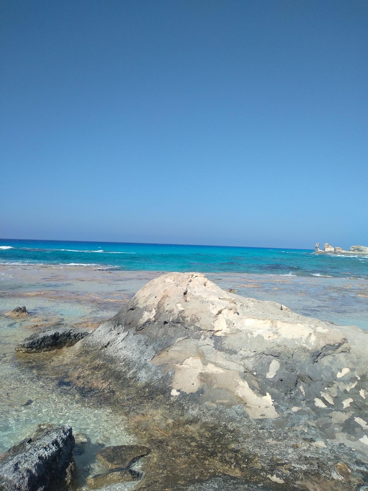 Sandee - El Gharam Beach