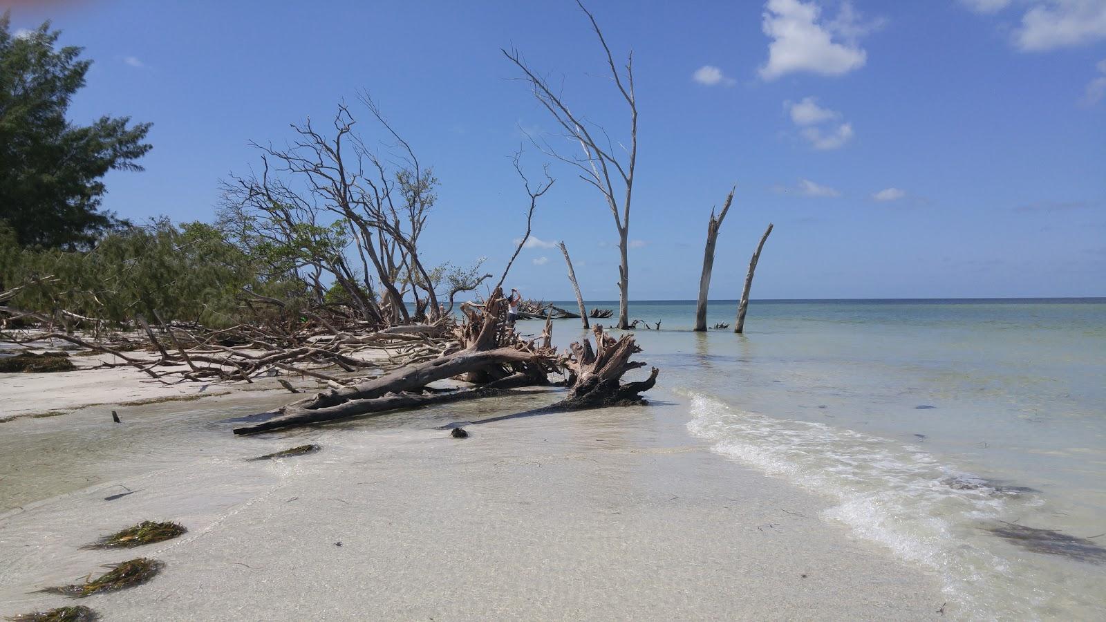 Sandee Whitney Beach