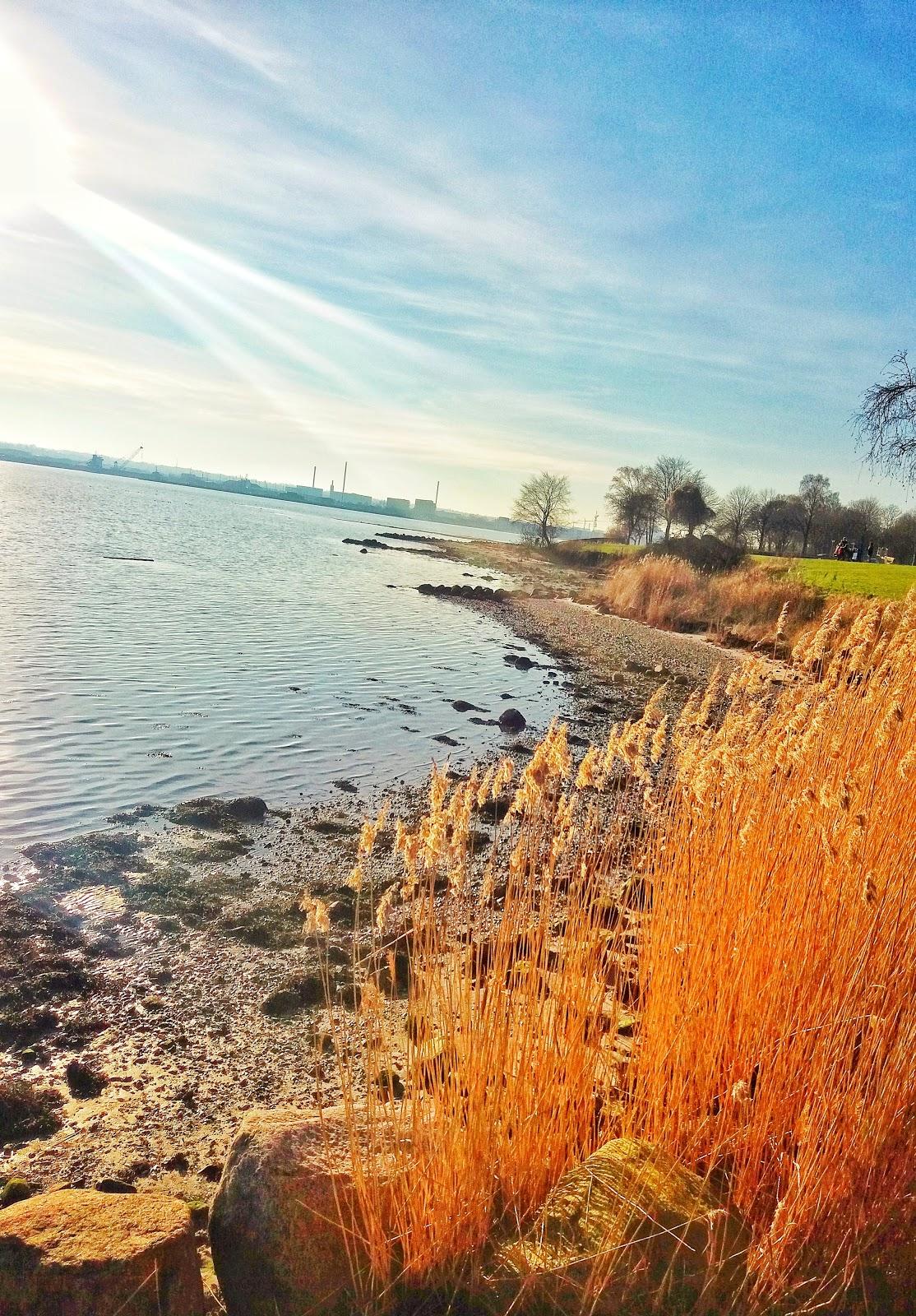 Sandee Strandparken Horsens Photo