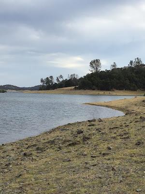 Sandee - Browns Ravine Folsom Lake