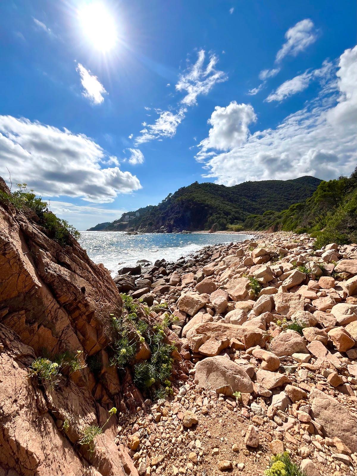 Sandee - Playa De La Corcollada