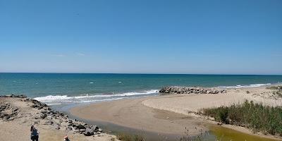 Sandee - Platja De Cal Francesc