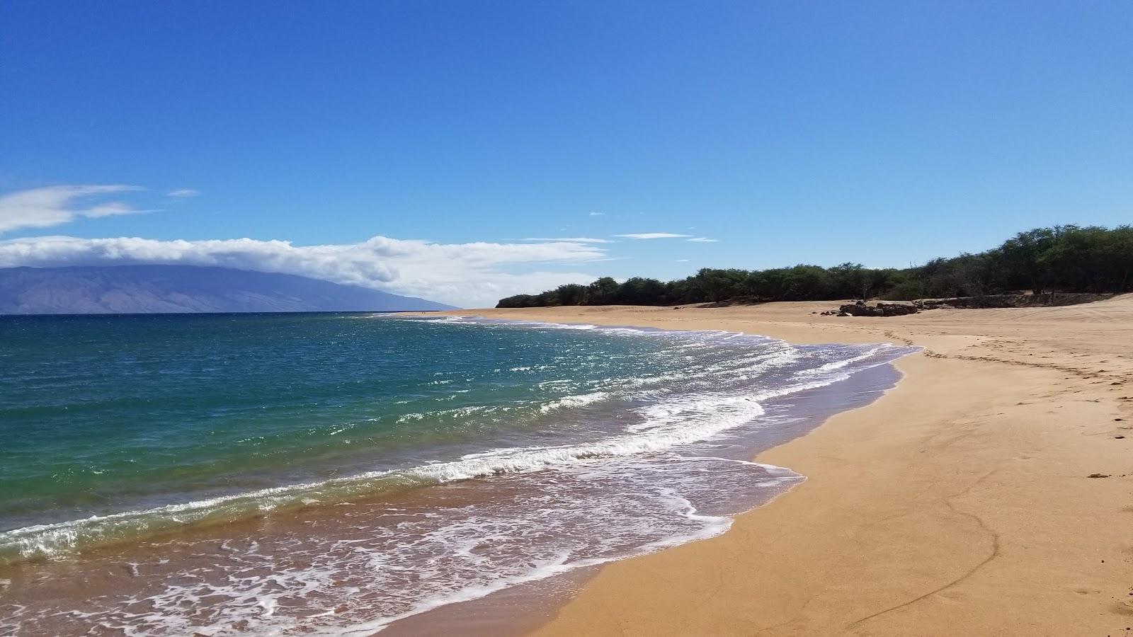 Sandee - Polihua Beach