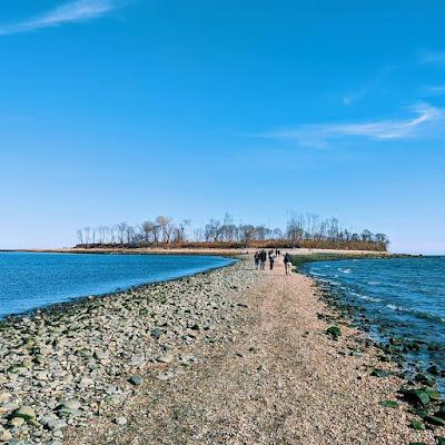 Sandee - Charles Island Beach