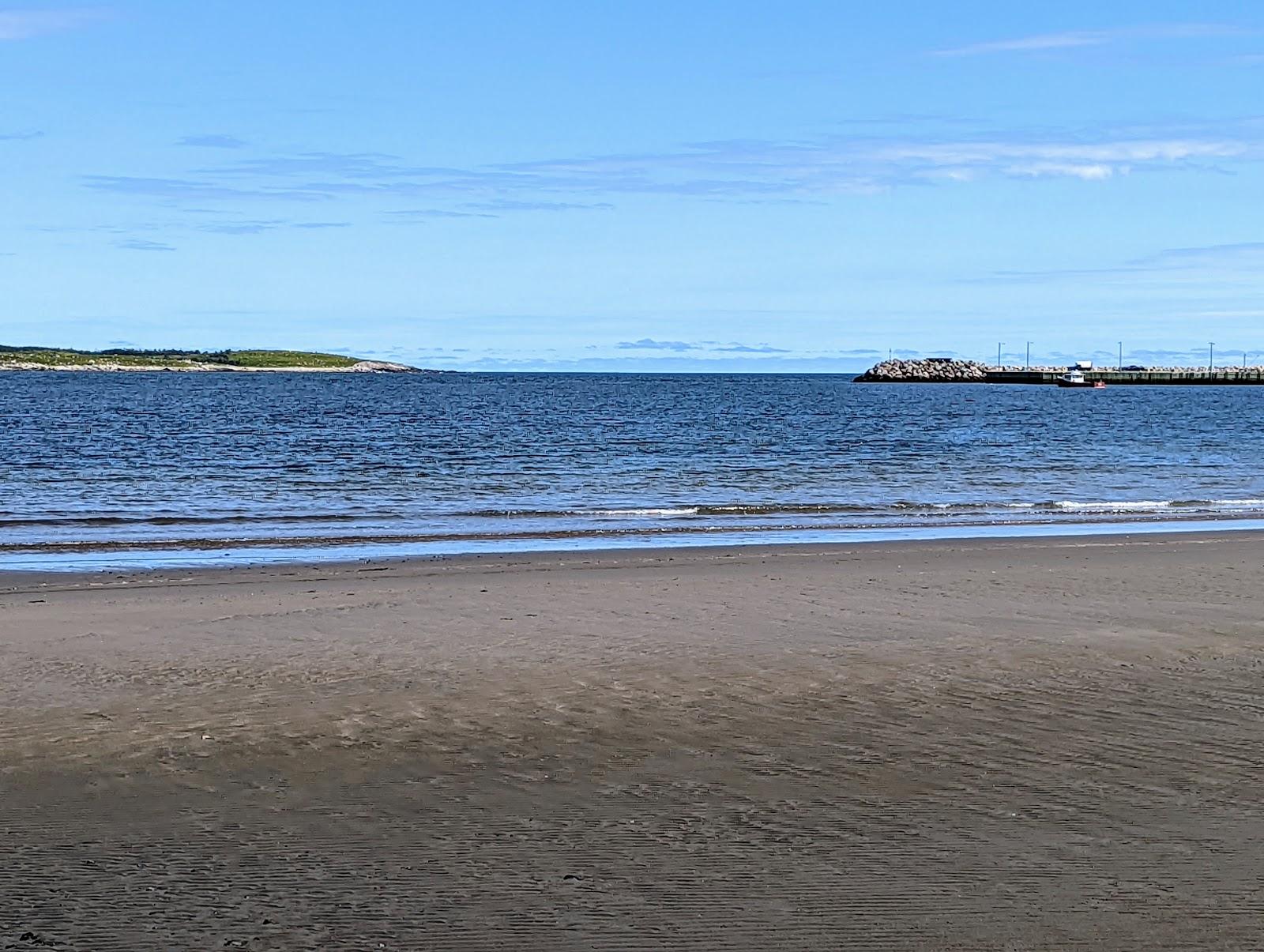 Sandee New Harbour Beach