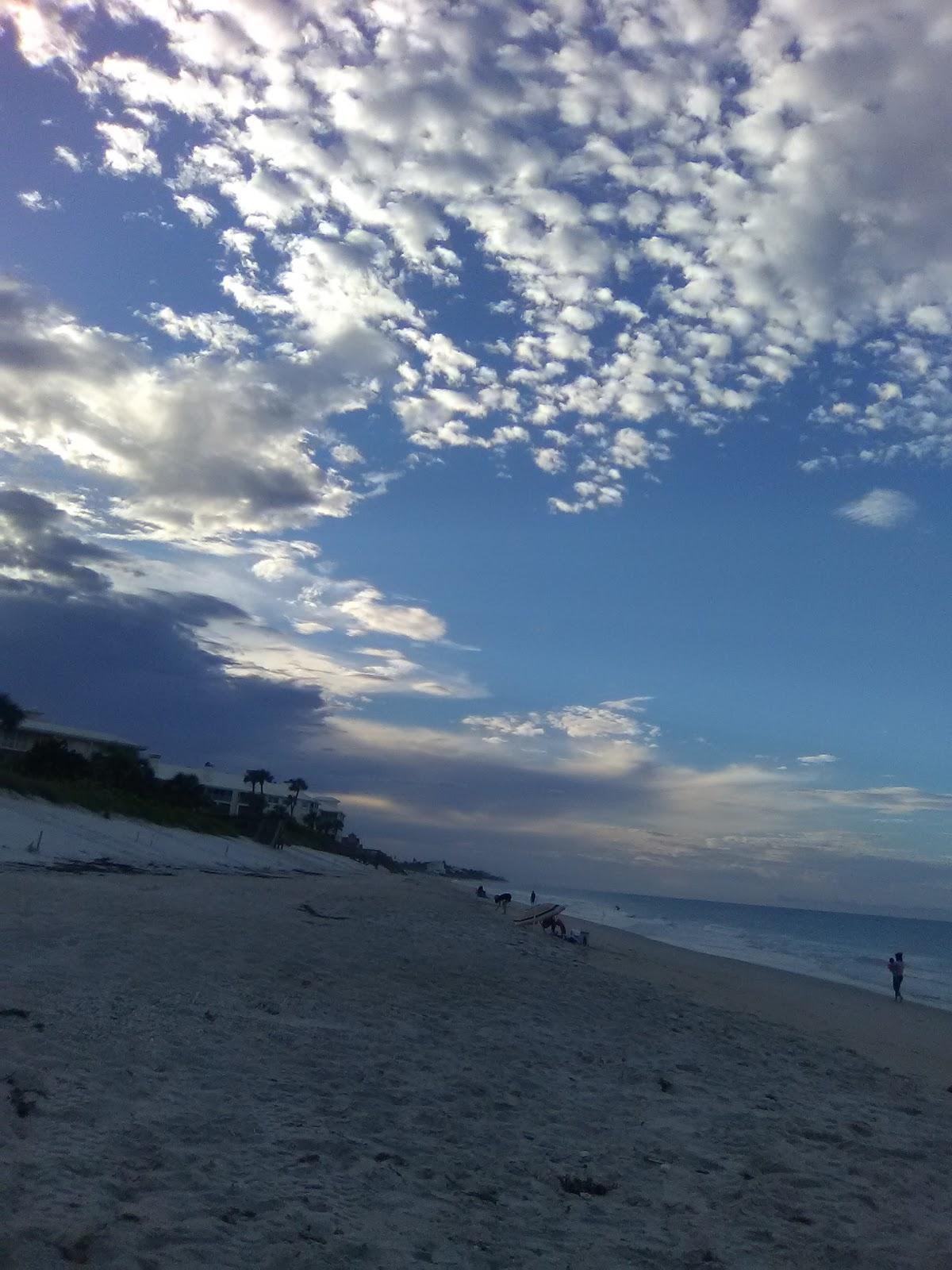 Sandee - Beach Sea Oaks