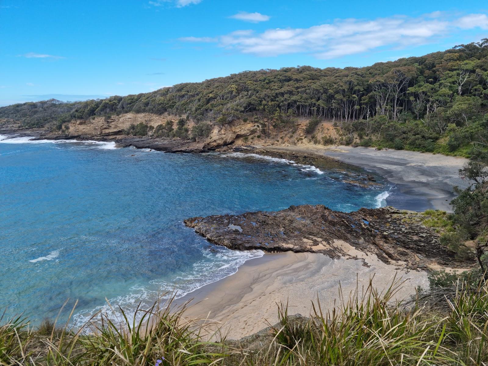 Sandee Dark Beach Photo