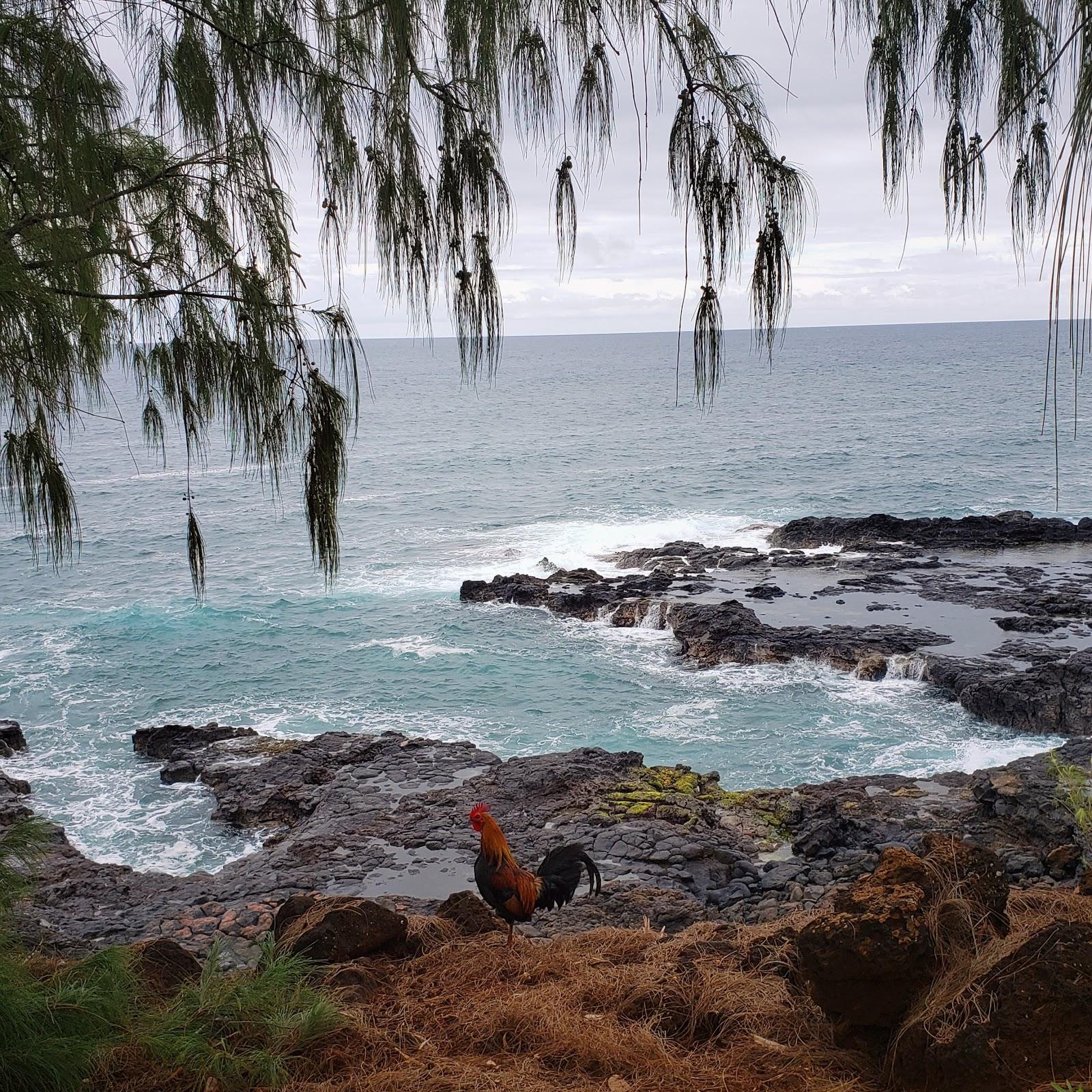 Sandee - Kukui'Ula Harbor Beach