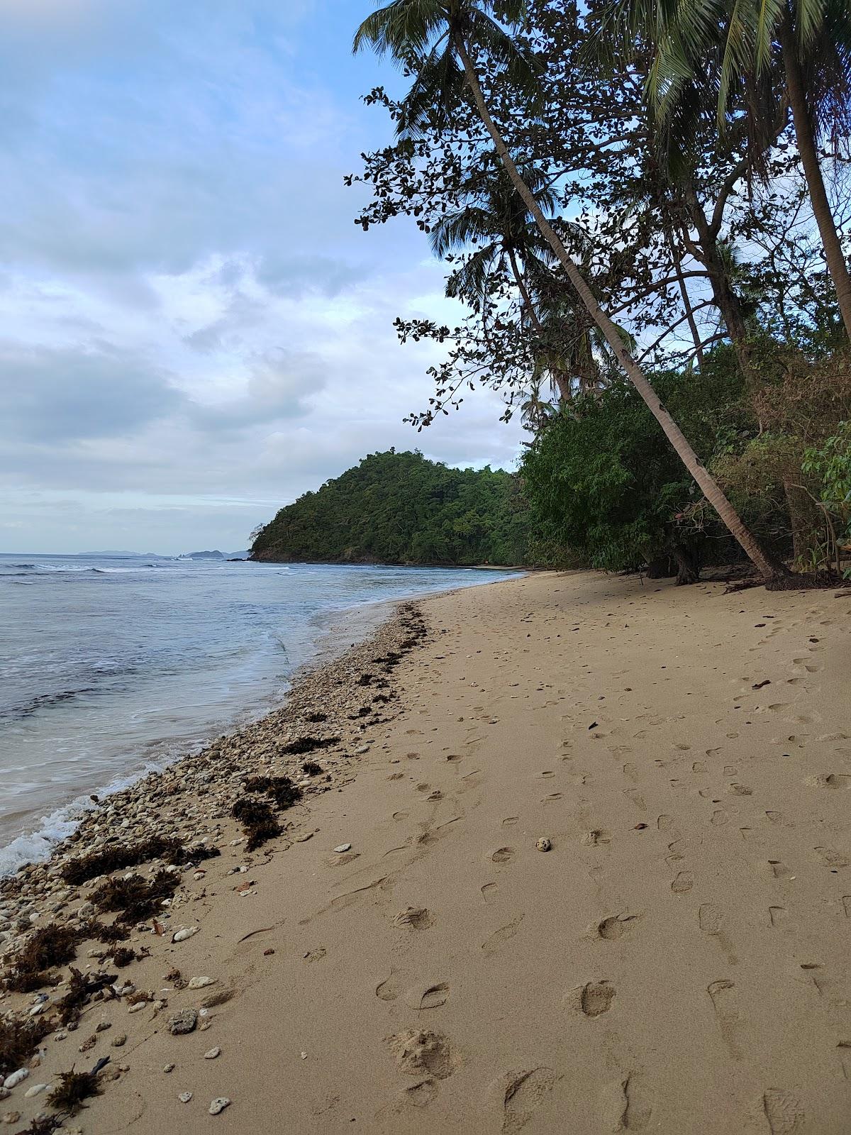 Sandee - Malugao Beach