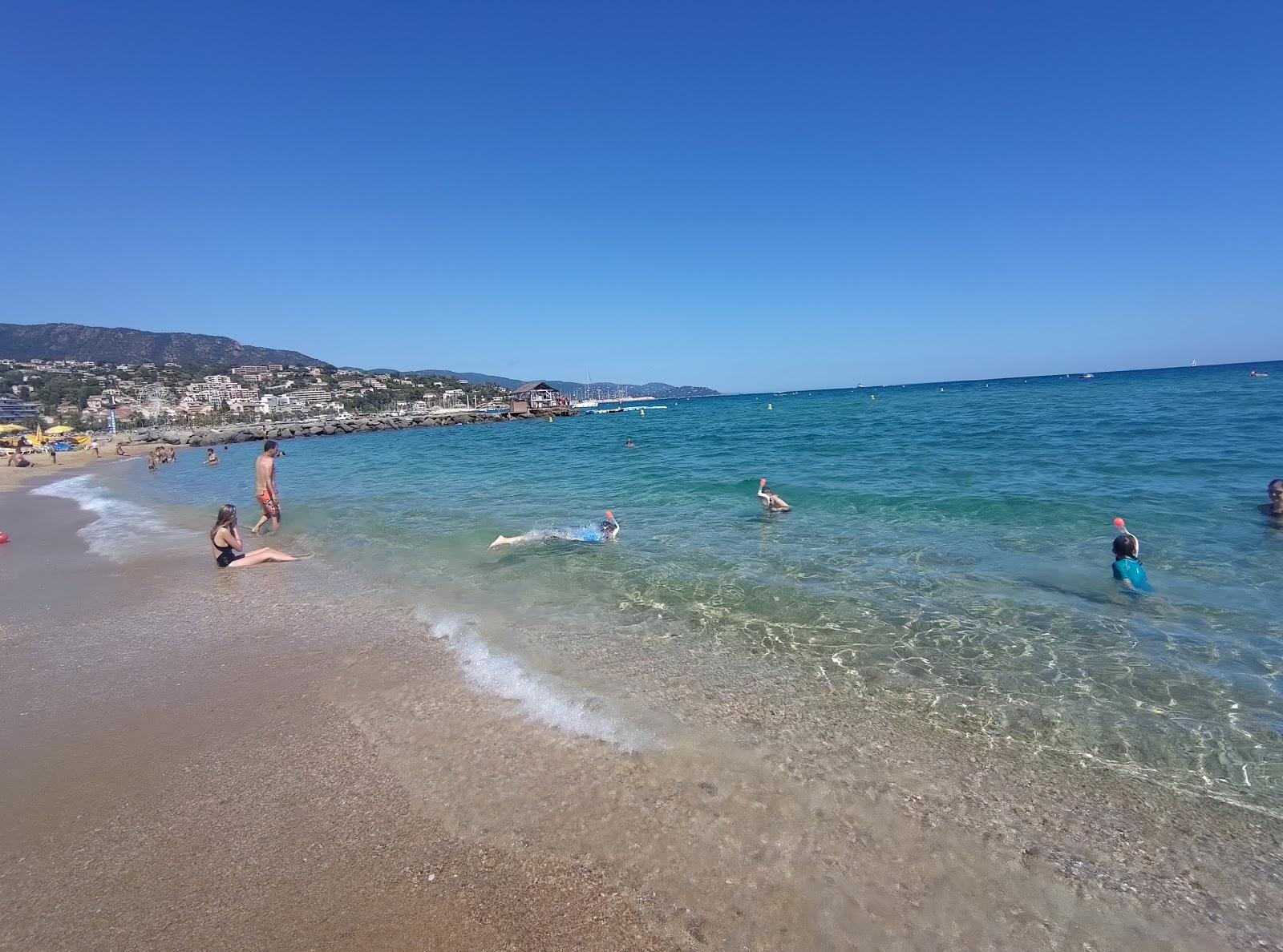 Sandee Plage Du Lavandou
