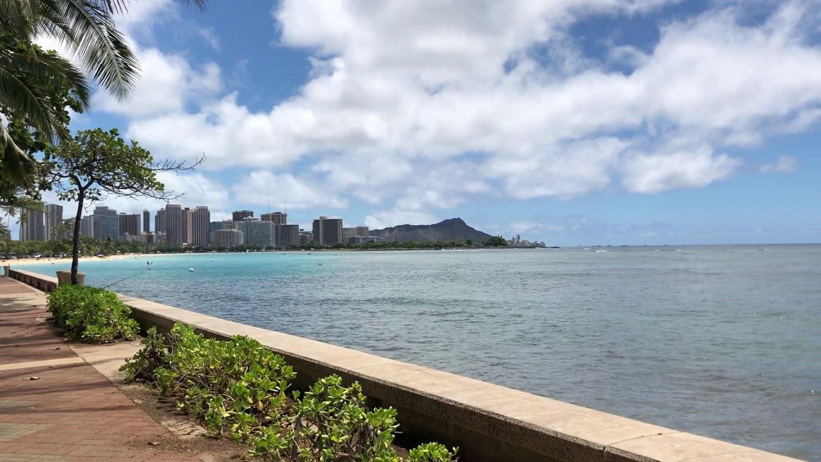 Sandee - Kewalo Basin Park