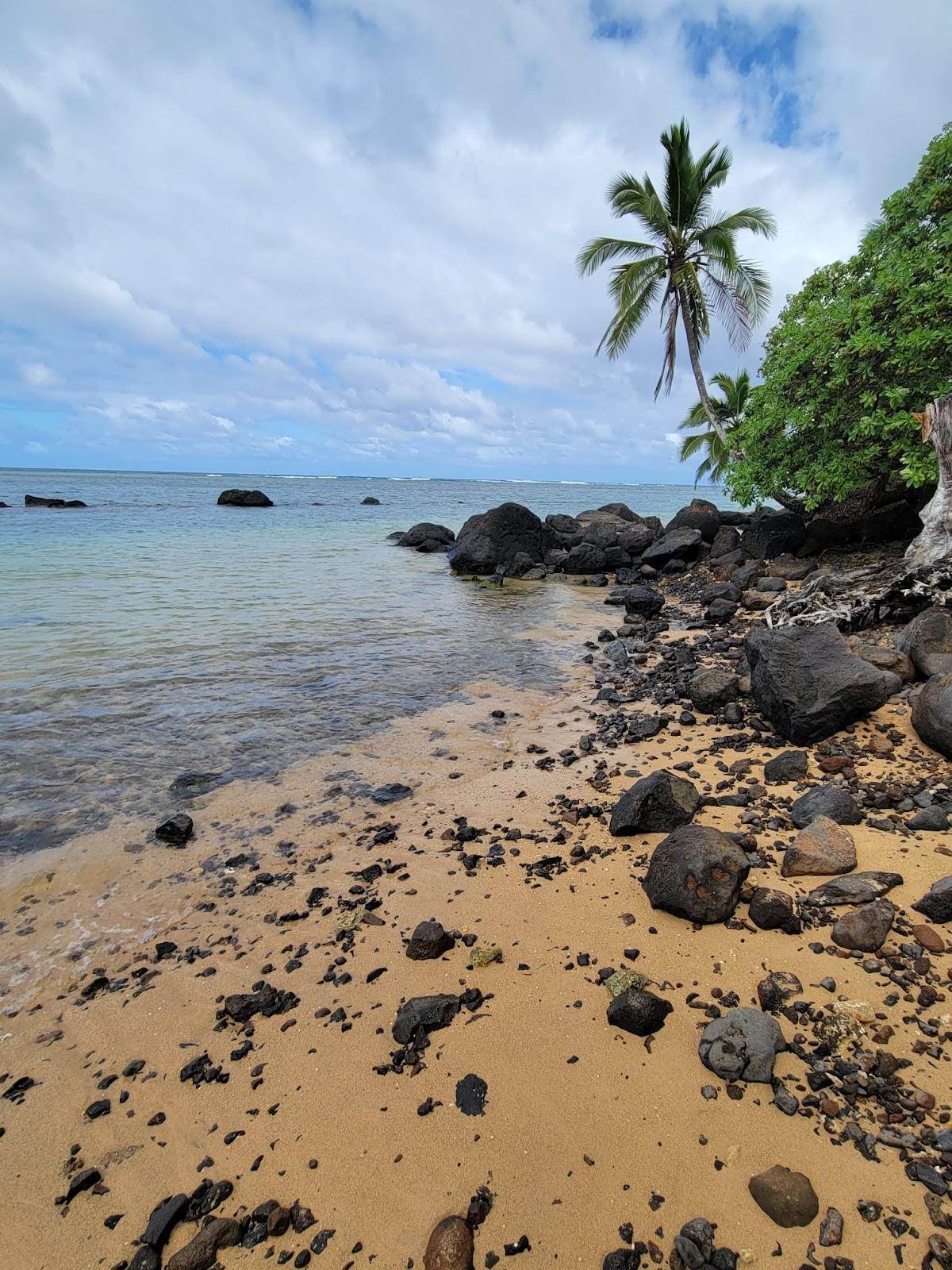 Sandee - Anini Beach