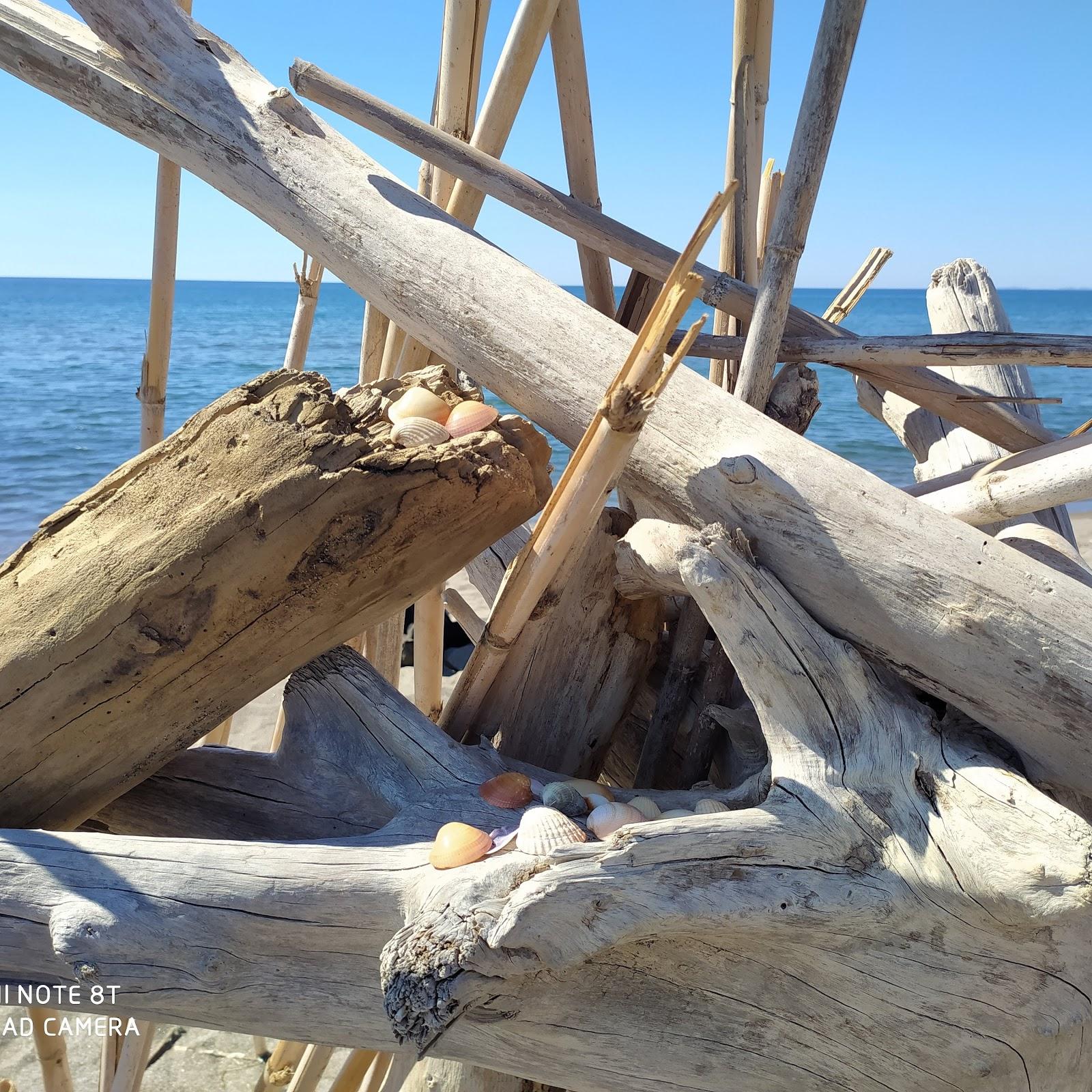 Sandee Spiaggia Oasi Di Macchiatonda