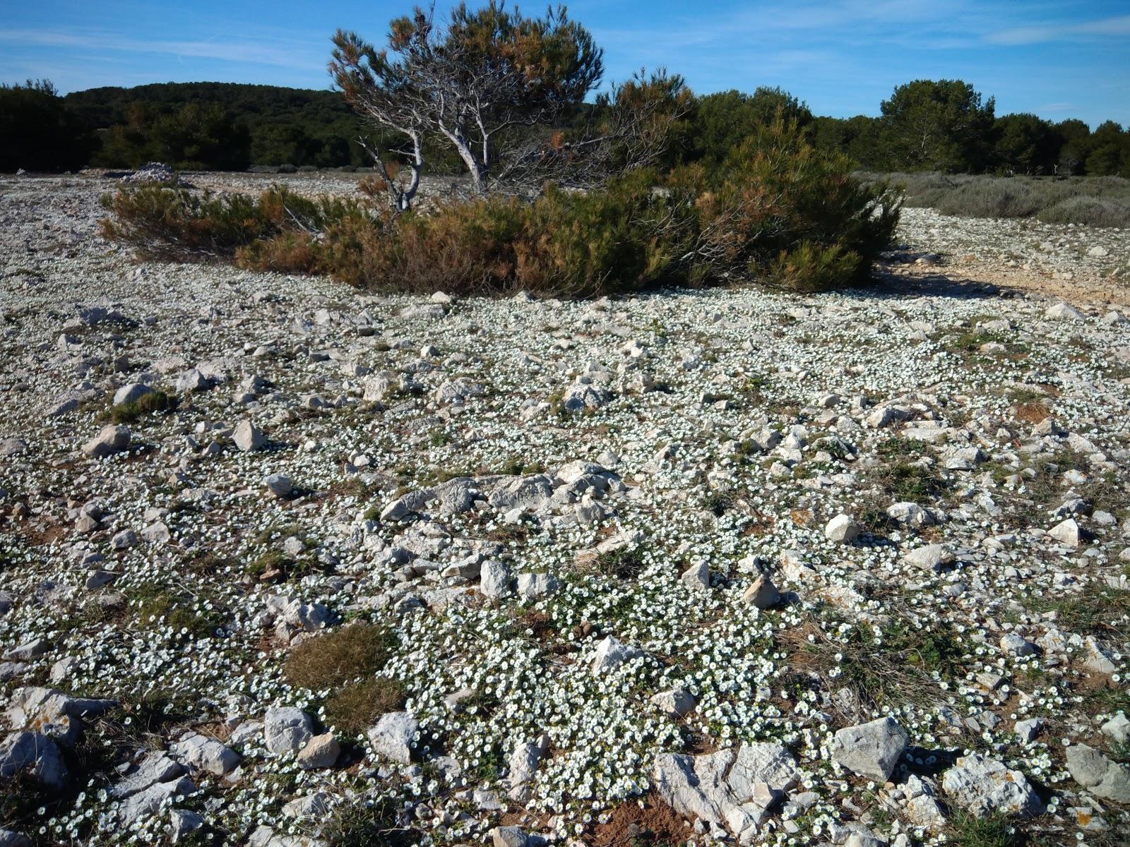 Sandee Plage De La Beaumaderie - La Couronne A Martigues