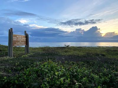 Sandee - Gamble Rogers State Park