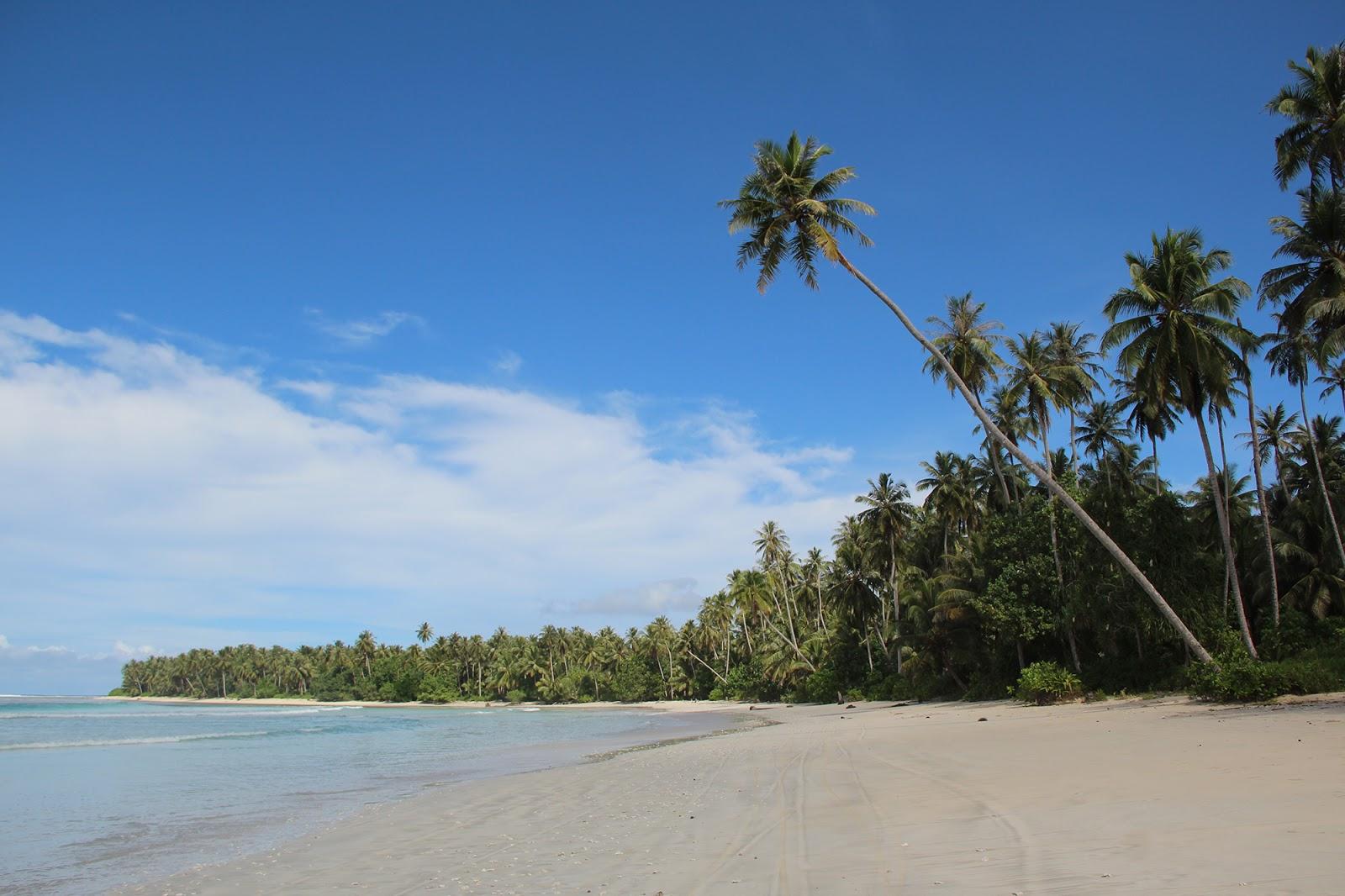 Sandee Kingfisher Mentawai Resort Photo