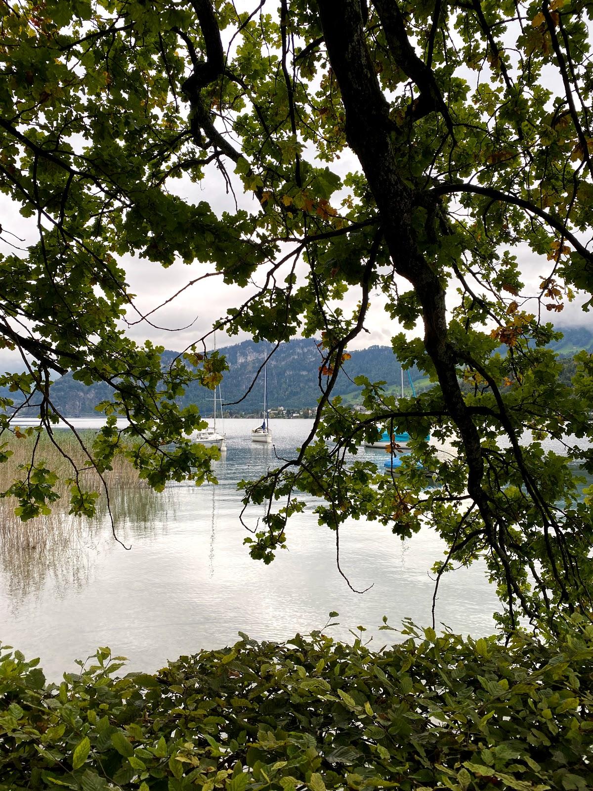 Sandee - HomePage / Kanton Luzern