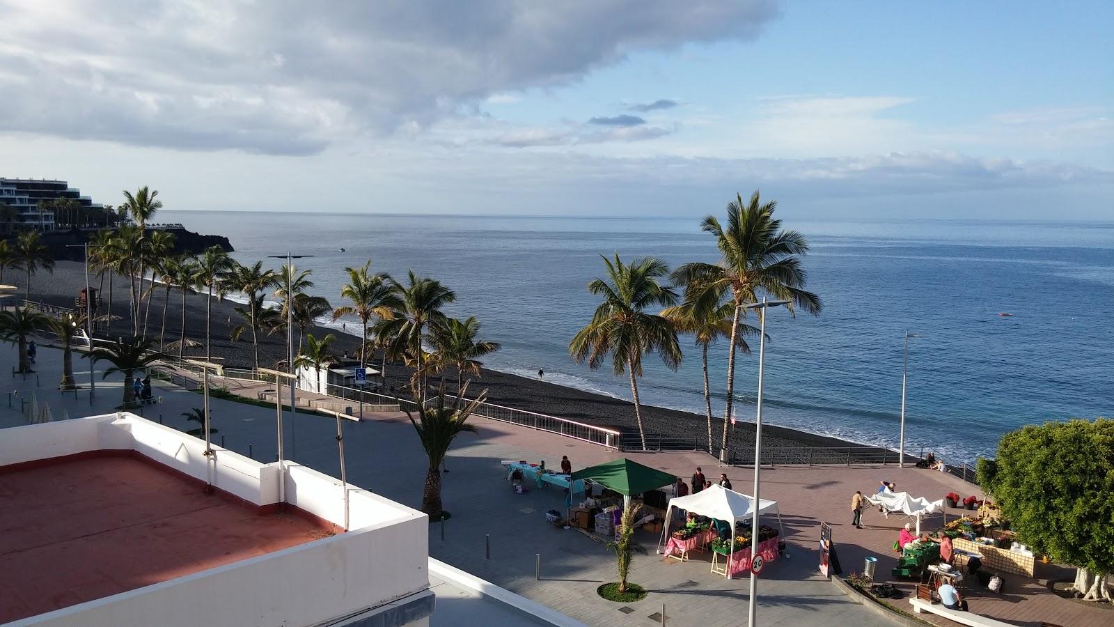 Sandee Playa Delphin