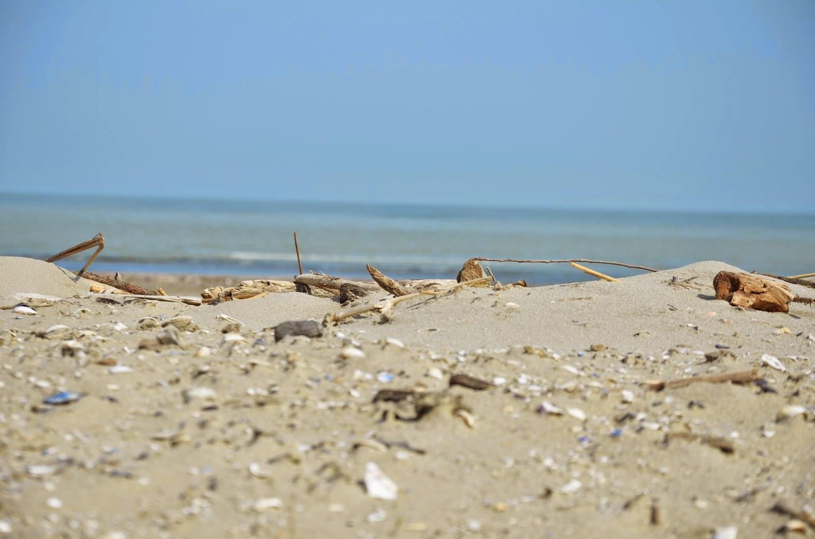 Sandee Spiaggia Quevida