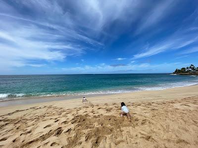 Sandee - Papaoneone Beach