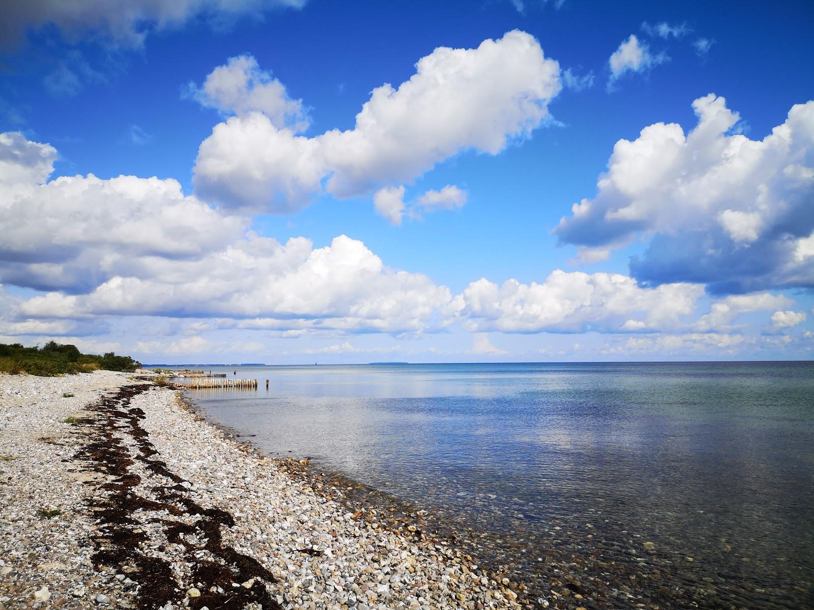 Sandee Nyborg Strand Photo