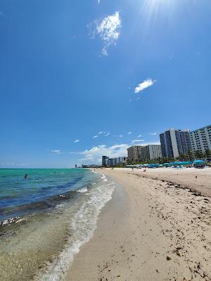 Sandee - 1 Hotel South Beach