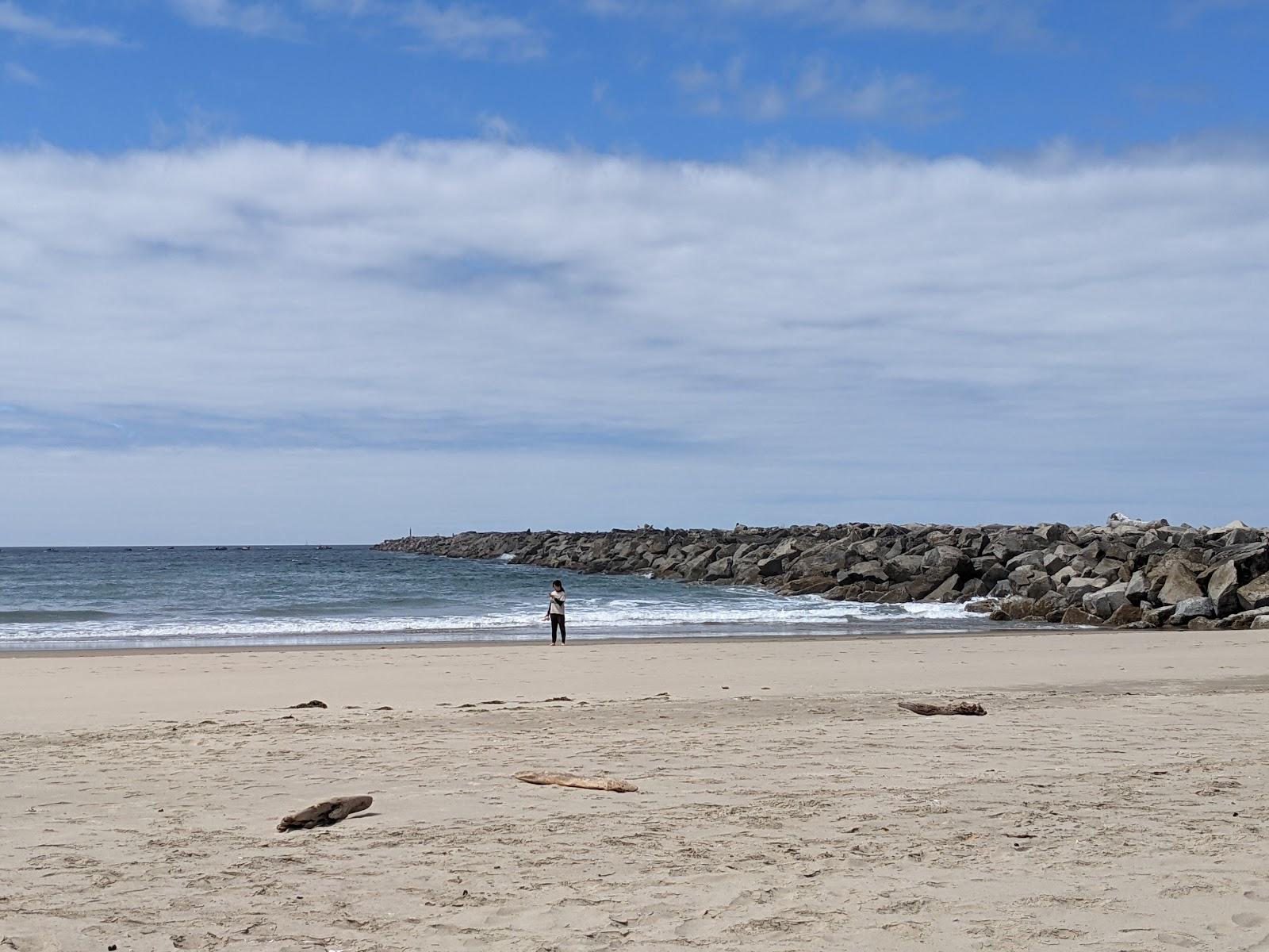 Sandee - Ziolkouski Beach Park