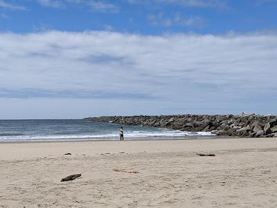 Sandee - Ziolkouski Beach Park