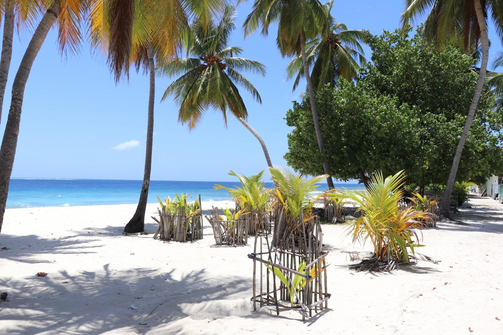 Sandee Ruffalu Beach